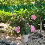 Private Boardinghouse & Terrasse, Parkplatz Nahe Messe Meerbusch