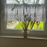 Private Boardinghouse & Terrasse, Parkplatz Nahe Messe