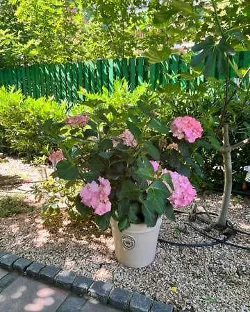 Boardinghouse Meerbusch, Ihr Privater Bungalow, Nahe Messe Duesseldorf 梅尔布施