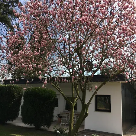 Privat Residence Boardinghouse Meerbusch Terrasse, Parkplatz, Naehe Messe Duesseldorf & Flughafen