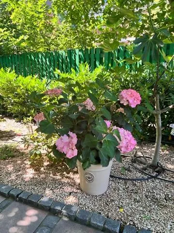 Privat Residence Boardinghouse Meerbusch Terrasse, Parkplatz, Naehe Messe Duesseldorf & Flughafen Meerbusch