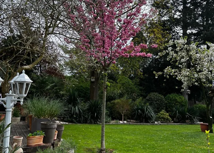 Privat Boardinghouse Naehe Messe Duesseldorf Flughafen Meerbusch