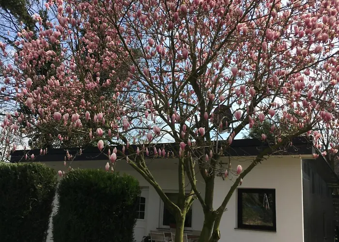 Privat Residence Boardinghouse Meerbusch Terrasse, Parkplatz, Naehe Messe Duesseldorf & Flughafen